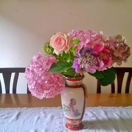Da Claudia Bed & Breakfast *