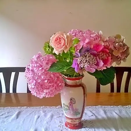 Da Claudia Bed & Breakfast 3*